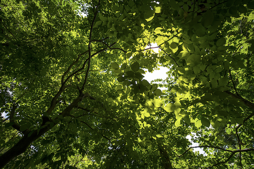 Proposition 1 Environnement